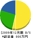 江崎建設 貸借対照表 2009年12月期