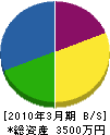 東福電機工業 貸借対照表 2010年3月期