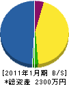 黒須植物園 貸借対照表 2011年1月期