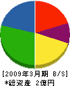 大倉工業 貸借対照表 2009年3月期