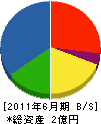 岩川組 貸借対照表 2011年6月期