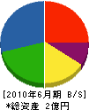 橋本土建工業 貸借対照表 2010年6月期