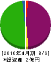 ヨコガワ 貸借対照表 2010年4月期