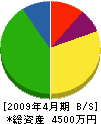豊村建設 貸借対照表 2009年4月期