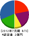 山＊商会 貸借対照表 2012年7月期