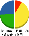 正建 貸借対照表 2009年12月期