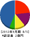 オキナ 貸借対照表 2012年9月期