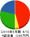 大澤産業 貸借対照表 2010年5月期