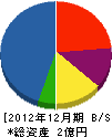 映光ＴＹ 貸借対照表 2012年12月期