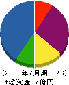 田中建設工業 貸借対照表 2009年7月期
