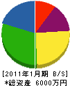 椛沢組 貸借対照表 2011年1月期