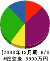花泉電気商会 貸借対照表 2008年12月期