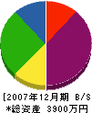 花泉電気商会 貸借対照表 2007年12月期