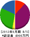 美島開発 貸借対照表 2012年6月期