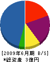 錦工務店 貸借対照表 2009年6月期