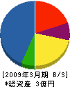 三輝工業 貸借対照表 2009年3月期