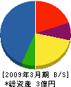 三輝工業 貸借対照表 2009年3月期 三輝工業 貸借対照表 2009年3月期