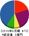 川本化成 貸借対照表 2010年6月期
