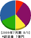 ロックシステム 貸借対照表 2009年7月期