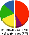 中井塗装店 貸借対照表 2009年6月期