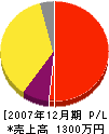 中勇塗装店 損益計算書 2007年12月期