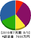 九州ビソー 貸借対照表 2010年7月期