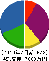 九州ビソー 貸借対照表 2010年7月期 九州ビソー 貸借対照表 2010年7月期