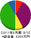 渋谷工務店 貸借対照表 2011年6月期
