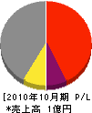 渡辺組 損益計算書 2010年10月期