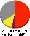 日本放射線防禦 損益計算書 2013年1月期