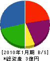 斉勇 貸借対照表 2010年1月期