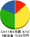 渡辺建設工業 貸借対照表 2011年9月期