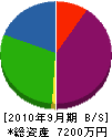 ＊橋造園 貸借対照表 2010年9月期