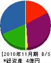 井上デンキ 貸借対照表 2010年11月期