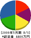 江嶋建設 貸借対照表 2008年5月期 江嶋建設 貸借対照表 2008年5月期