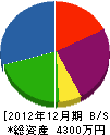 石川建築 貸借対照表 2012年12月期