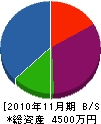 山崎建設 貸借対照表 2010年11月期