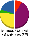 吉田造園土木 貸借対照表 2009年5月期