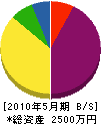 辻本電業社 貸借対照表 2010年5月期