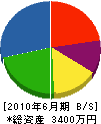 長坂造園土木 貸借対照表 2010年6月期