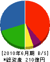 レイメイ藤井 貸借対照表 2010年6月期
