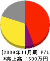 石川造園 損益計算書 2009年11月期