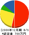 柚山組 貸借対照表 2008年12月期