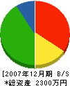 新井塗装店 貸借対照表 2007年12月期