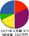 渡辺建設 貸借対照表 2011年12月期
