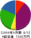 村田住宅 貸借対照表 2009年9月期