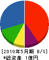 前澤工業 貸借対照表 2010年5月期