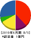 鈴幸組 貸借対照表 2010年6月期