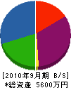 中島建設 貸借対照表 2010年9月期