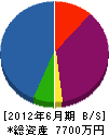 野沢建築 貸借対照表 2012年6月期